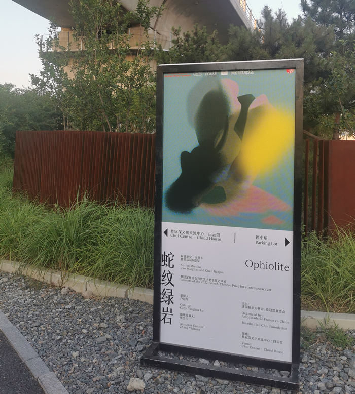 超越人类中心主义，重建与万物连接——中法艺术家共构《蛇纹绿岩》