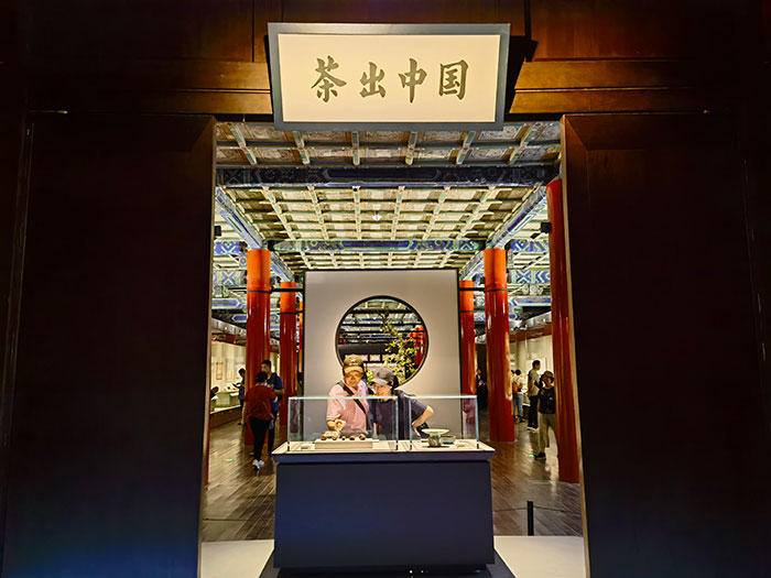 一片中国茶，半部文明史——故宫“茶·世界”特展：一场以茶为媒介的策展叙事
