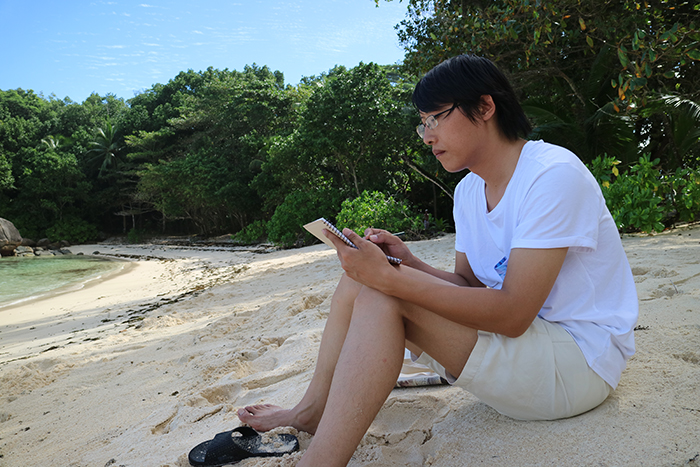 洪保峰：诗画交融，用风景表现东方哲学