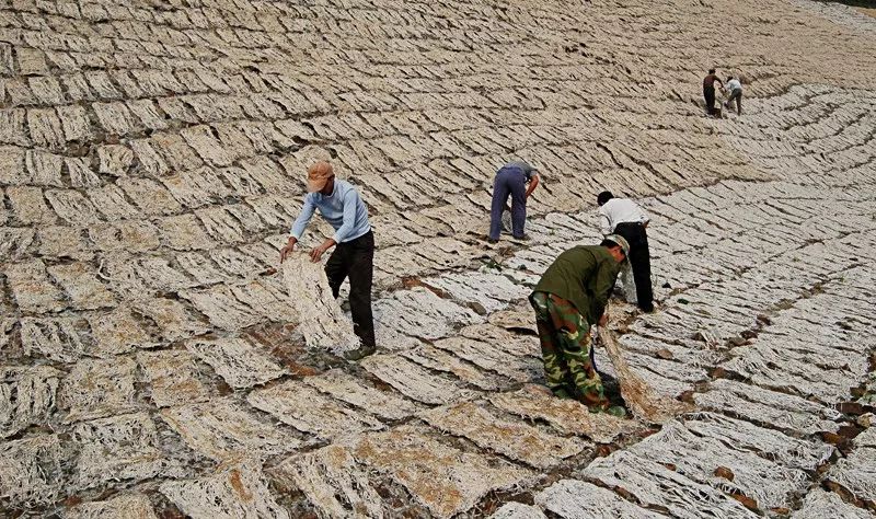 斯雄《宣纸记》