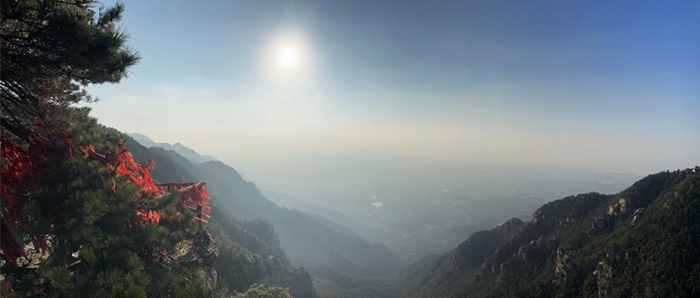 寻梦诗画九江，36位中外艺术家共赴一场与悠然庐山的约会