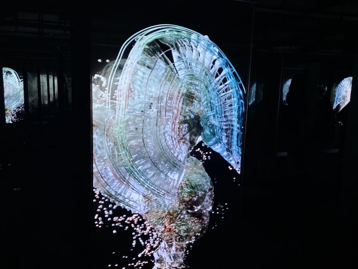 哈佛大学中国艺术实验室“开目剧场：形·影·神”登陆上海蟠龙天地