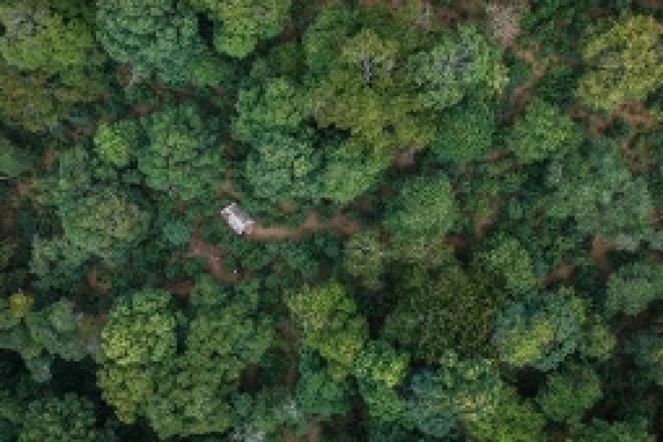 一片中国茶，半部文明史——故宫“茶·世界”特展：一场以茶为媒介的策展叙事