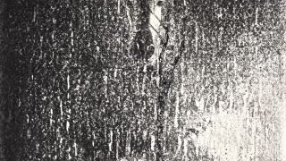 《强光总是炫目的》- 周志奋