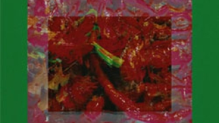 对话魏三三：理性冷静地审视这个世界，保持独立思考的能力