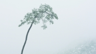 传统和现代的交锋：水墨变相何去何从