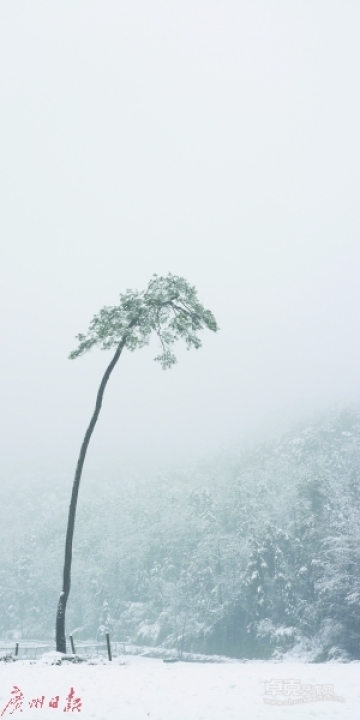 传统和现代的交锋：水墨变相何去何从